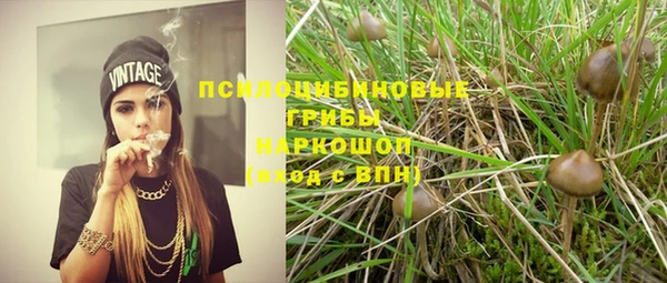 дурь Алексеевка