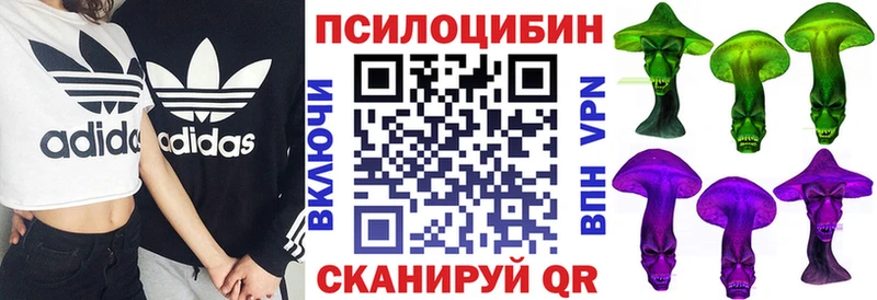 дарнет шоп  Дыгулыбгей  Галлюциногенные грибы Psilocybe 